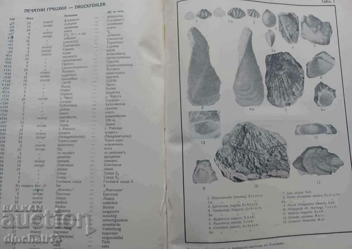 Brown coal in Bulgaria: G. Konyarov - 5 Brown coal in Bulgaria: G. Konyarov - 5