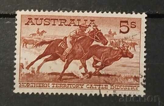 Australia 1961 Fauna/Horses Stamp