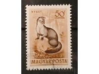 Hungary 1953 Fauna Klejmo