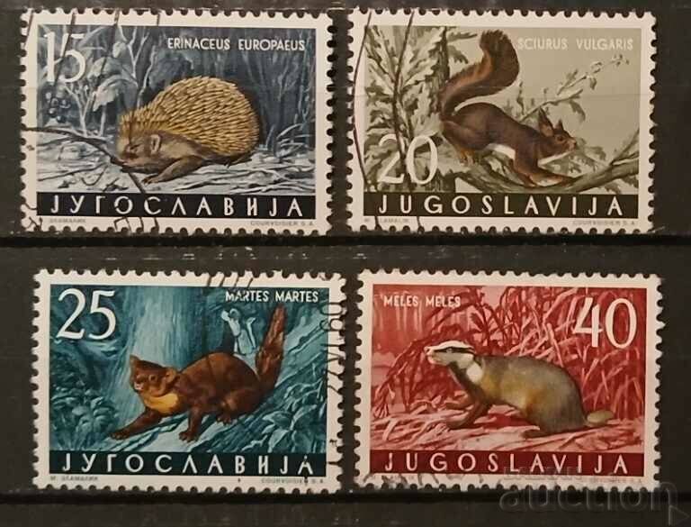 Iugoslavia 1960 Fauna Klejmo