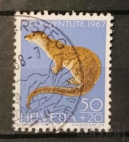 Switzerland 1967 Fauna Claimo