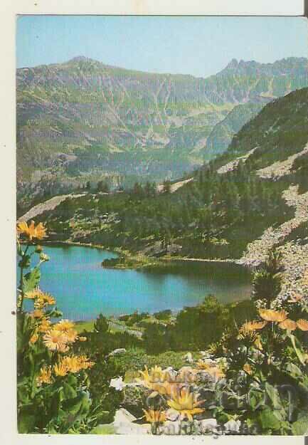 Card Bulgaria Pirin Vasilashko Lake 1*