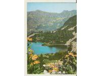 Card Bulgaria Pirin Vasilashko Lake 1*