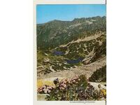 Card Bulgaria Pirin "Garzi" 1*