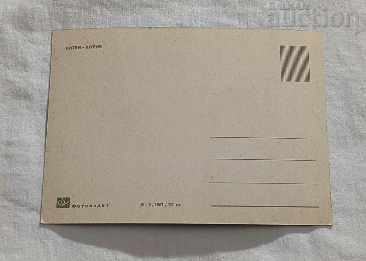 CAT GENERAL SPECIES P.K.1961 with price 1.00 BGN | € 0.51 CAT GENERAL SPECIES P.K.1961 with price 1.00 BGN | € 0.51