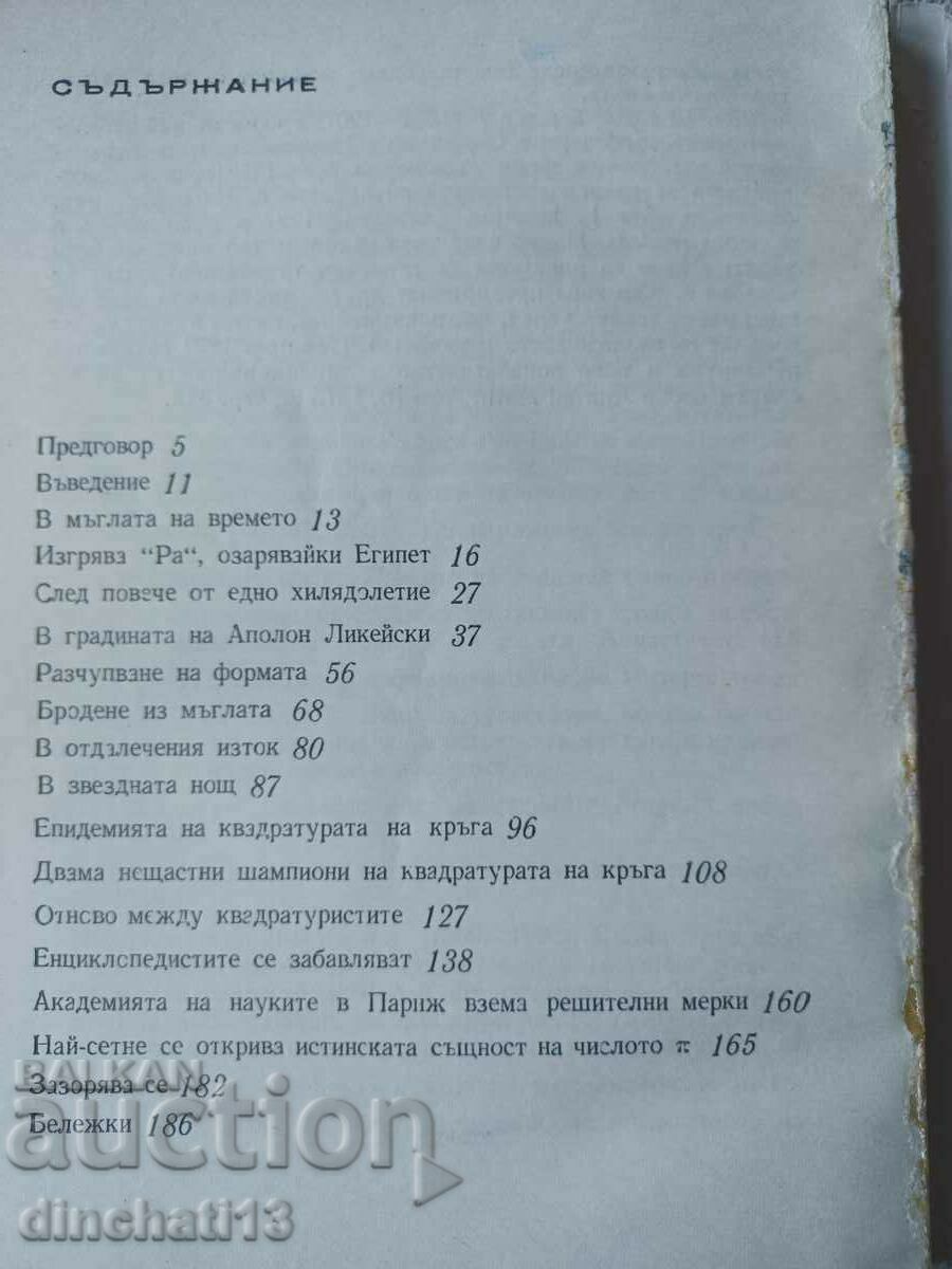 Licitație Istoria lui Pi: Florica Campan