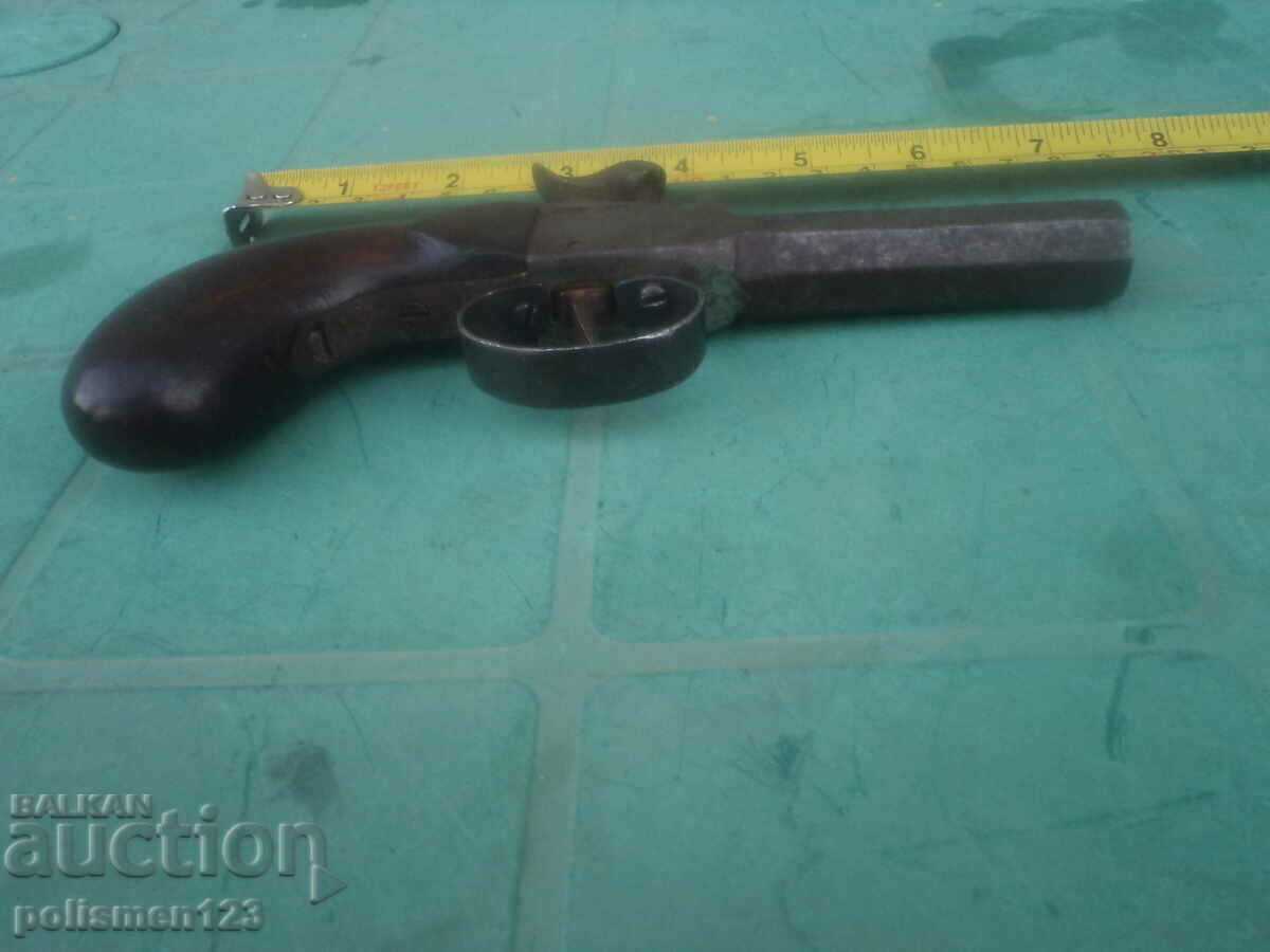 Auction CAPSULE Auction CAPSULE