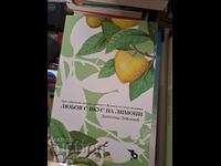 Αγάπη με τη γεύση του λεμονιού Dimitar Niklenov