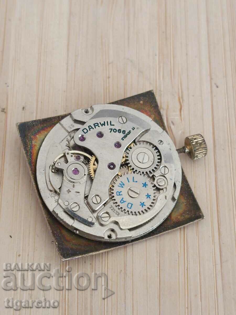 Bobina de ceas pentru bărbați Darwil