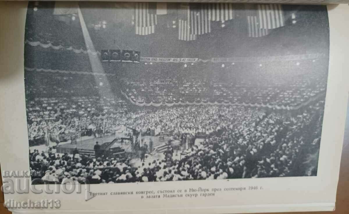 Битка за мир из три континента: Георги Пирински - 5 Битка за мир из три континента: Георги Пирински - 5