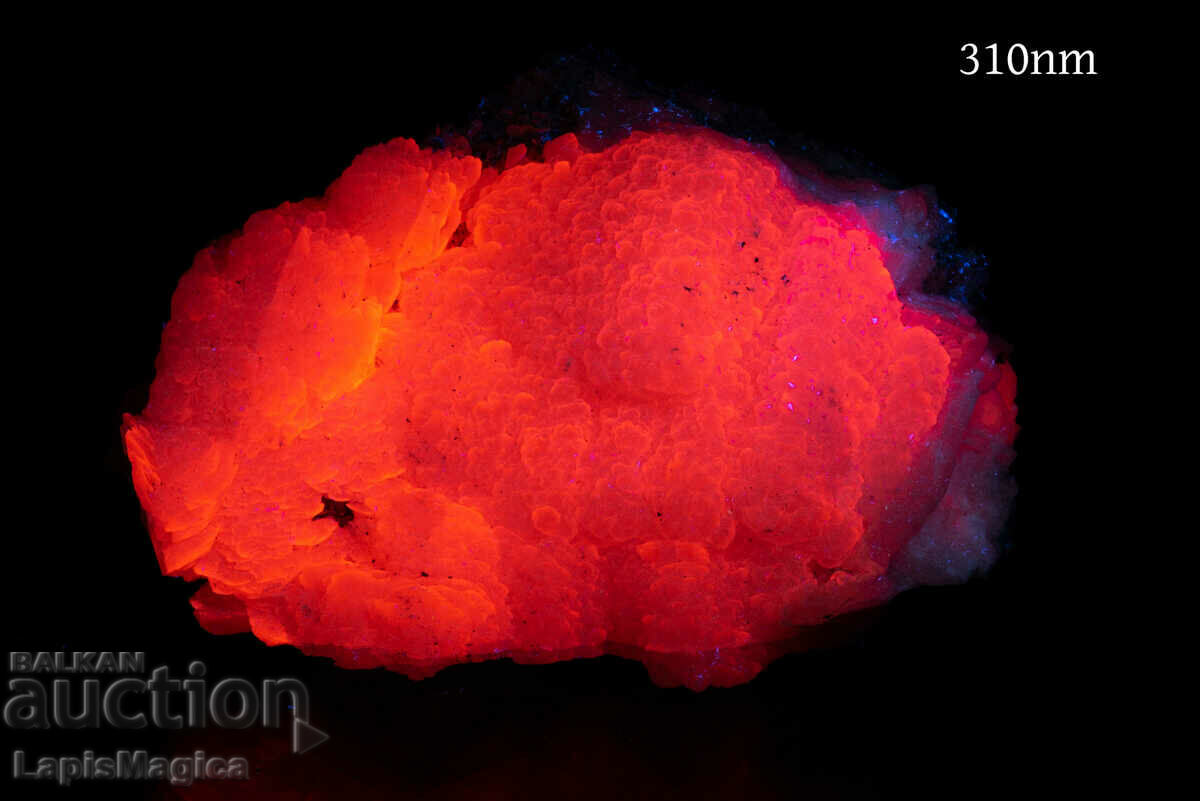 Fluorescent Manganocalcite from Bulgaria 412g