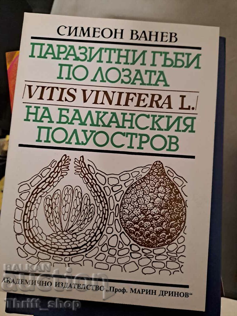 Ciuperci parazite pe vița de vie din Peninsula Balcanică