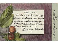 Card 1904, New Year's greeting 1905.