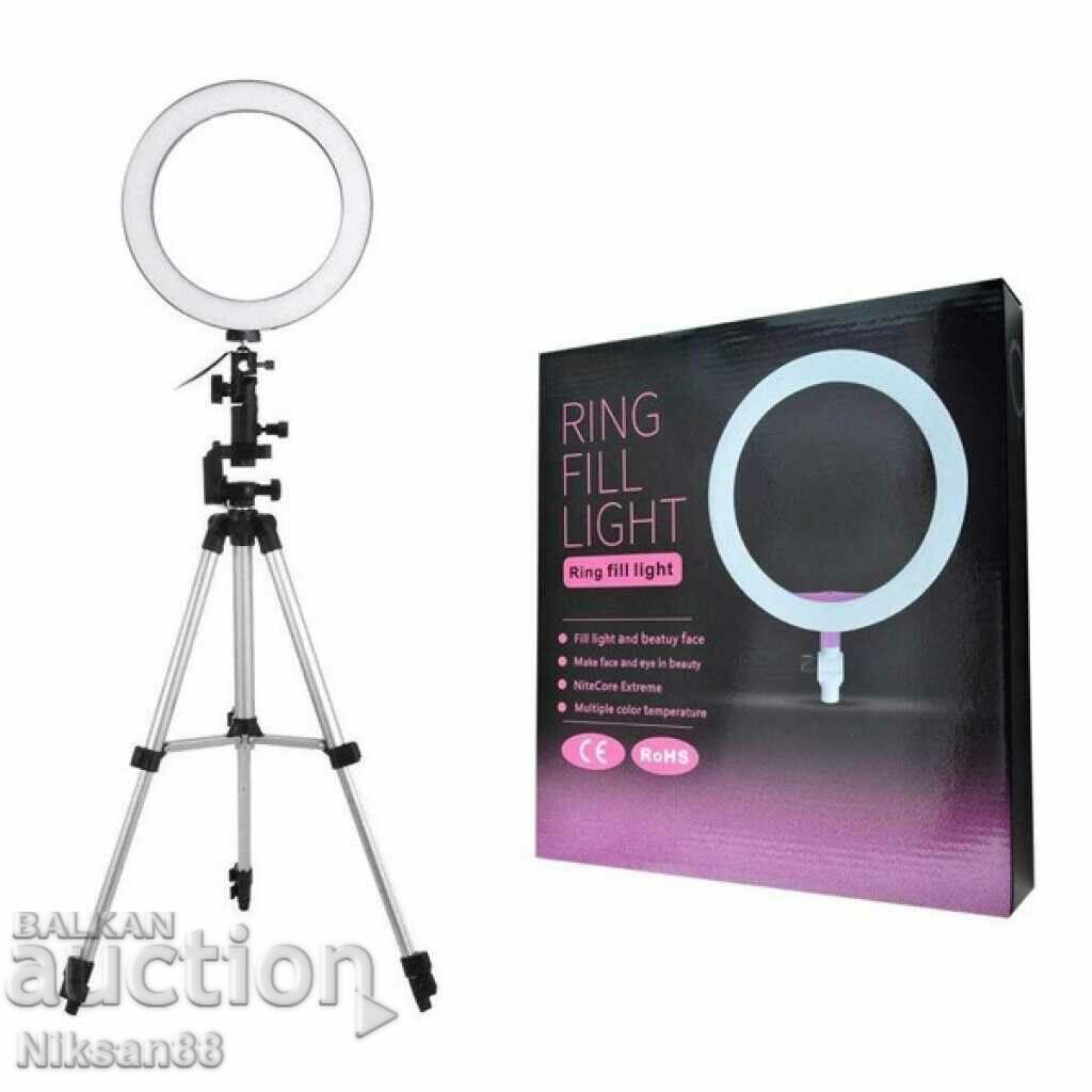 Luminous LED photo ring