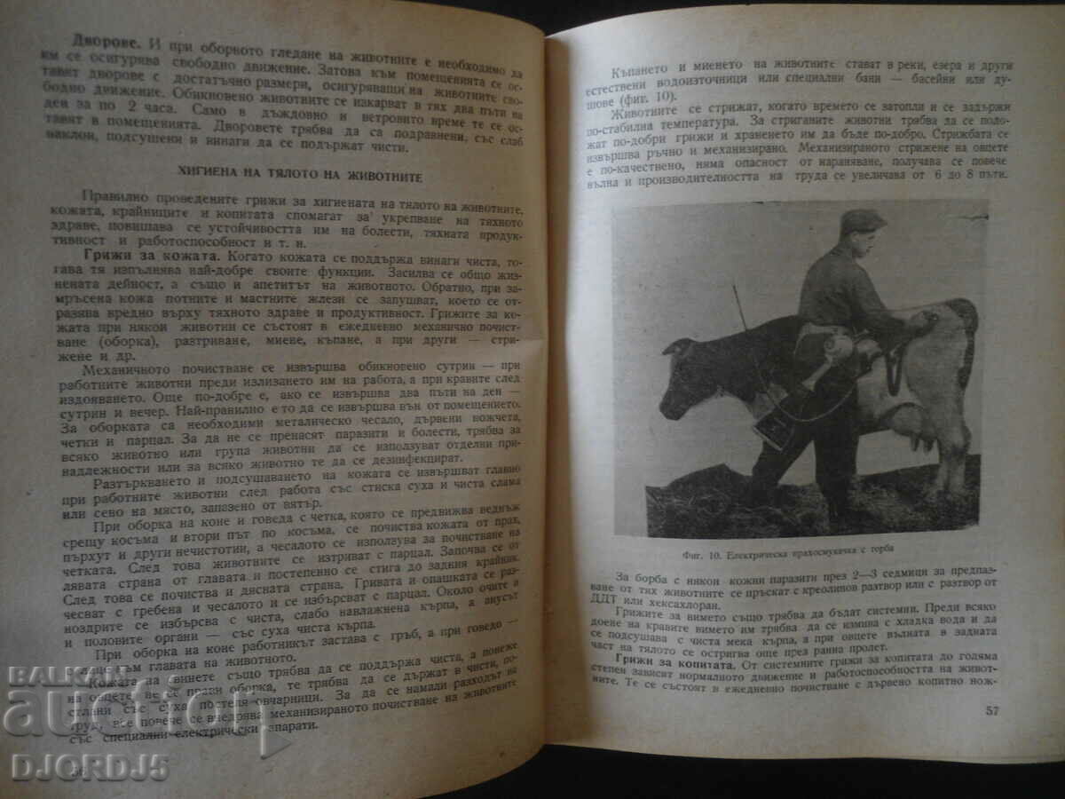 Licitație CRESCĂ, Agricultura, viticultura, producția de tutun. Licitație CRESCĂ, Agricultura, viticultura, producția de tutun.