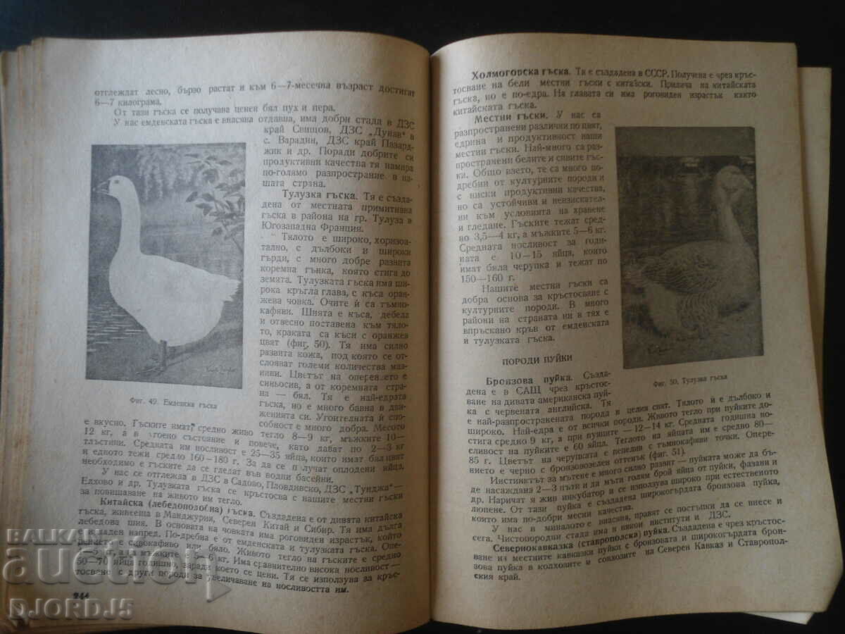 Livrarea CRESCĂ, Agricultura, viticultura, producția de tutun. Livrarea CRESCĂ, Agricultura, viticultura, producția de tutun.
