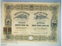 Action 200 BGN "Colossus" for food products, 1918