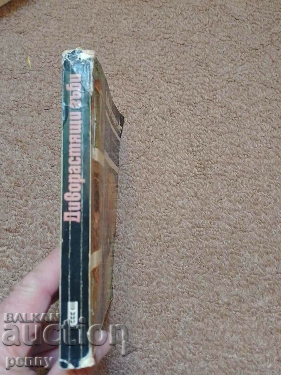 Wild mushrooms - collective with price 30.00 BGN | € 15.34