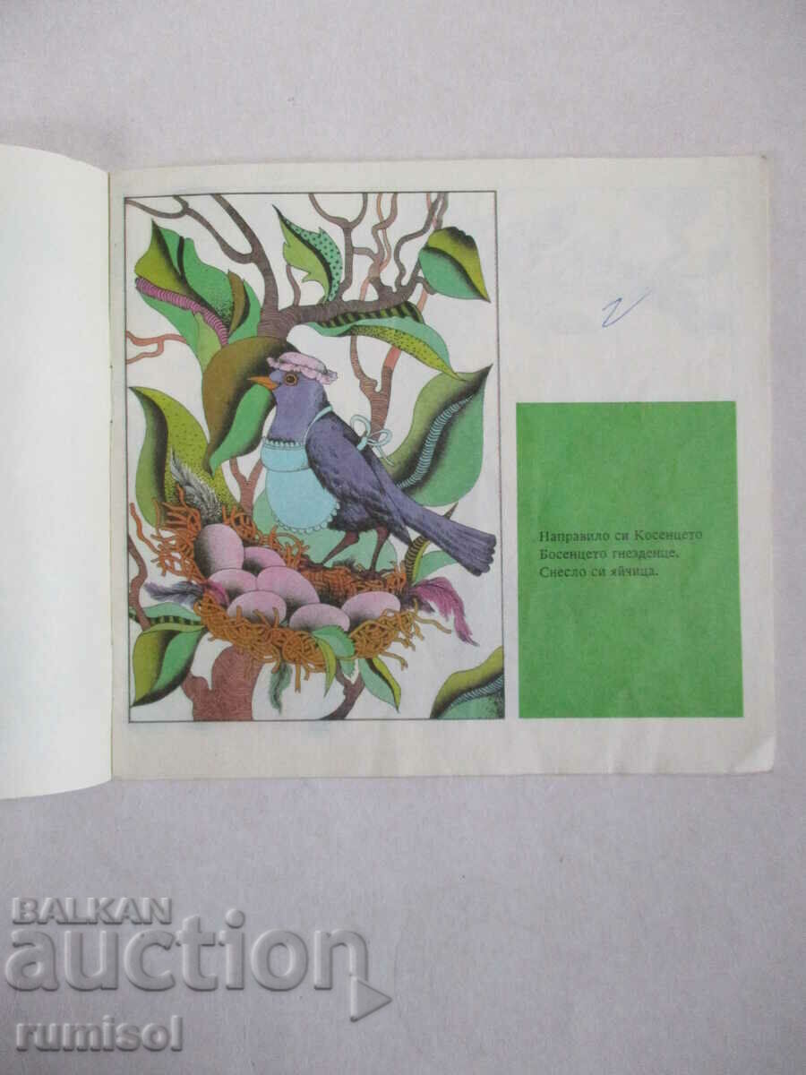 Δημοπρασία Kose Bose - Ran Bosilek