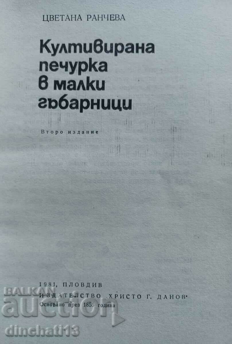 Καλλιεργημένο μανιτάρι σε μικρά μανιταρόσπιτα: Tsvetana Rancheva με τιμή 5.00 BGN | € 2.56 Καλλιεργημένο μανιτάρι σε μικρά μανιταρόσπιτα: Tsvetana Rancheva με τιμή 5.00 BGN | € 2.56