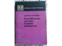 Култивирана печурка в малки гъбарници: Цветана Ранчева