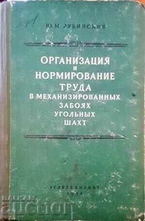 Οργάνωση και κανονικοποίηση-Yu. Μ. Ρουμπίνσκι