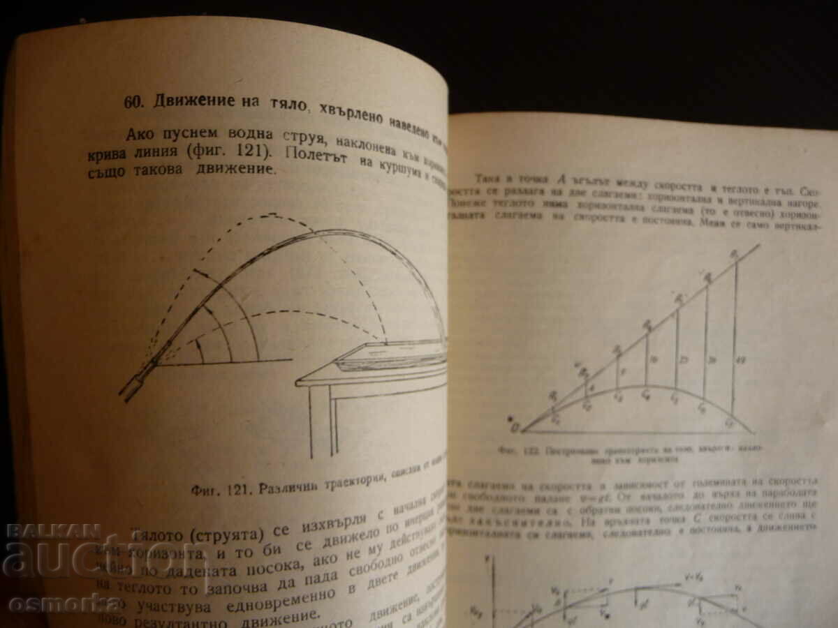 Auction Physics Olga Taseva E. Lazarova 9th grade general education Auction Physics Olga Taseva E. Lazarova 9th grade general education