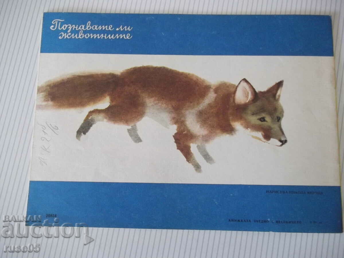 Magazine "Nightingale - book 10 - 1967." - 16 pages - 6 Magazine "Nightingale - book 10 - 1967." - 16 pages - 6