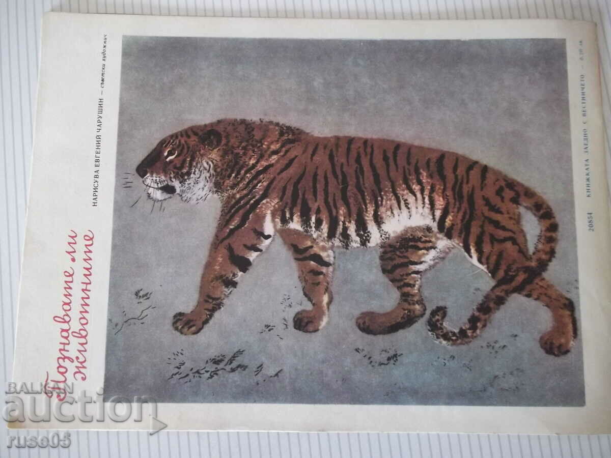 Magazine "Nightingale - book 5 - 1967." - 16 pages - 6