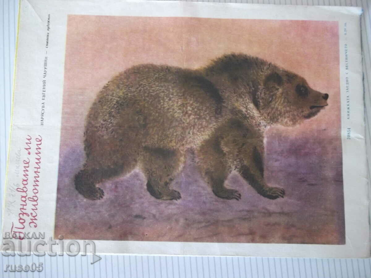 Magazine "Nightingale - book 2 - 1967." - 16 pages - 6