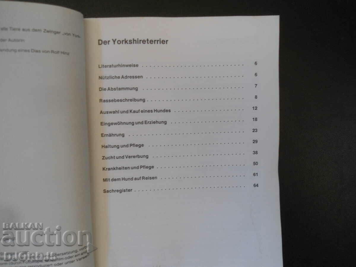 Auction Der Yorkshireterrier Auction Der Yorkshireterrier