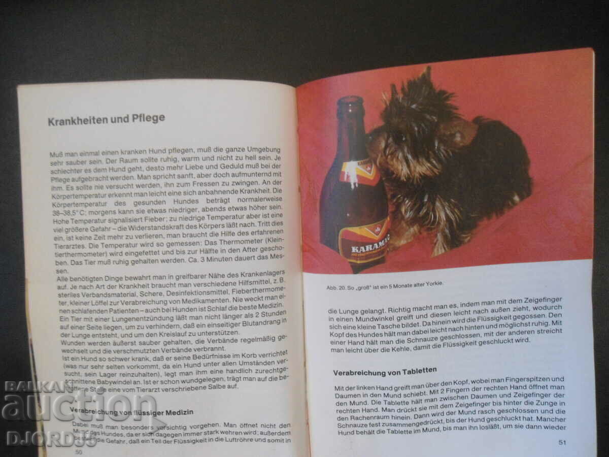 Der Yorkshireterrier - 7 Der Yorkshireterrier - 7