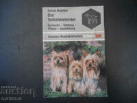 Der Yorkshireterrier