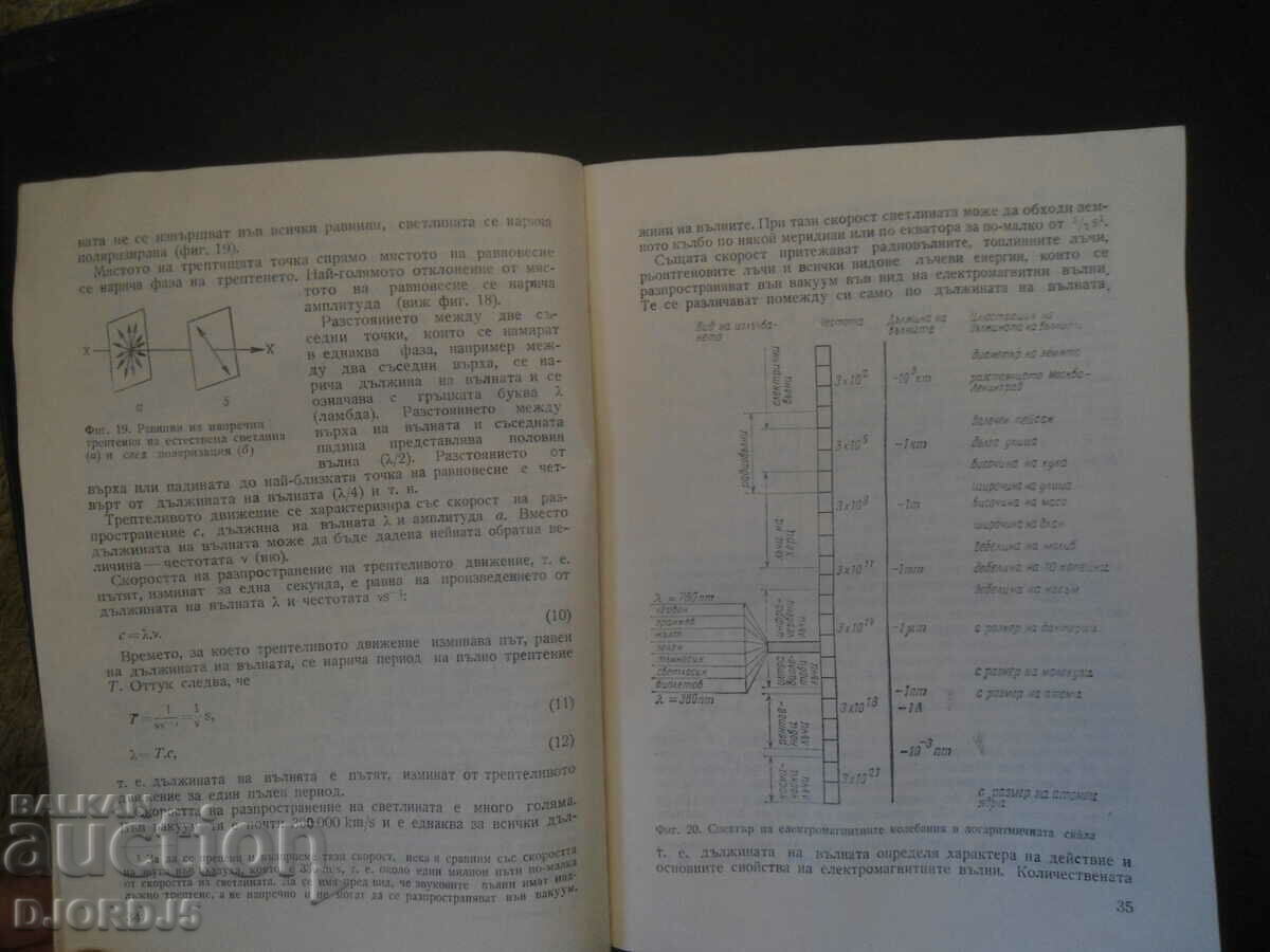 Auction  Enlightened LENS
