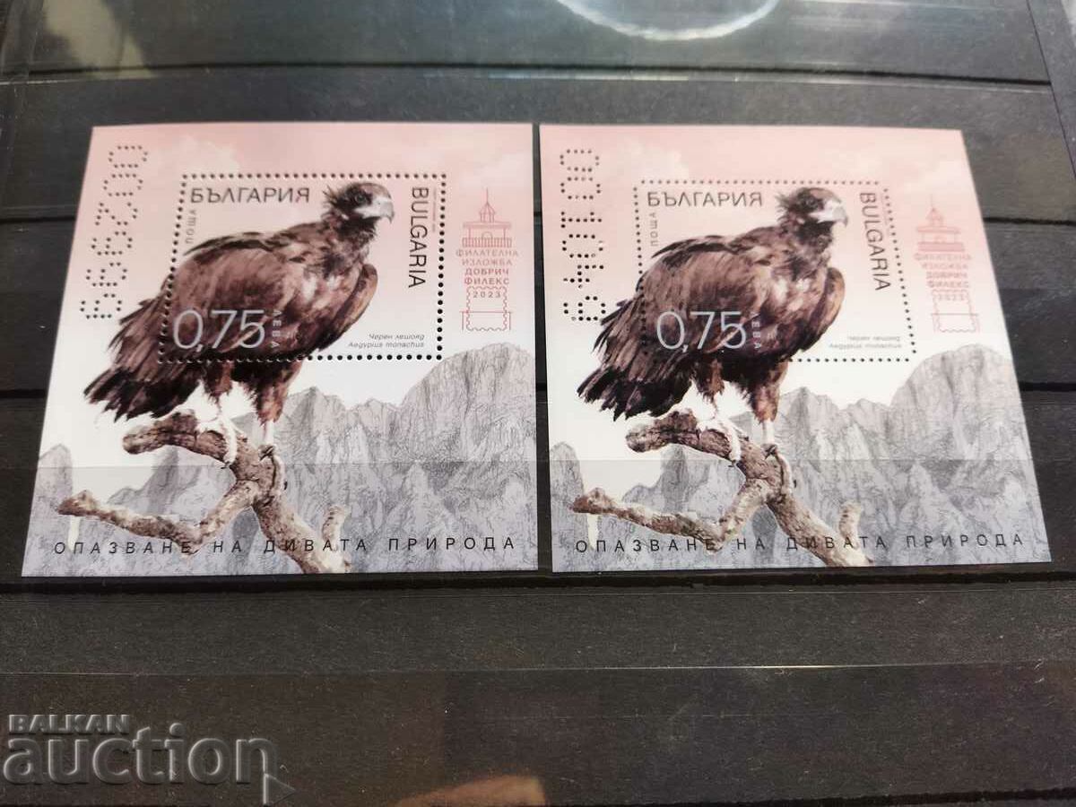 2023 Black Vulture Block Set #5627 with price 30.00 BGN | € 15.34 2023 Black Vulture Block Set #5627 with price 30.00 BGN | € 15.34