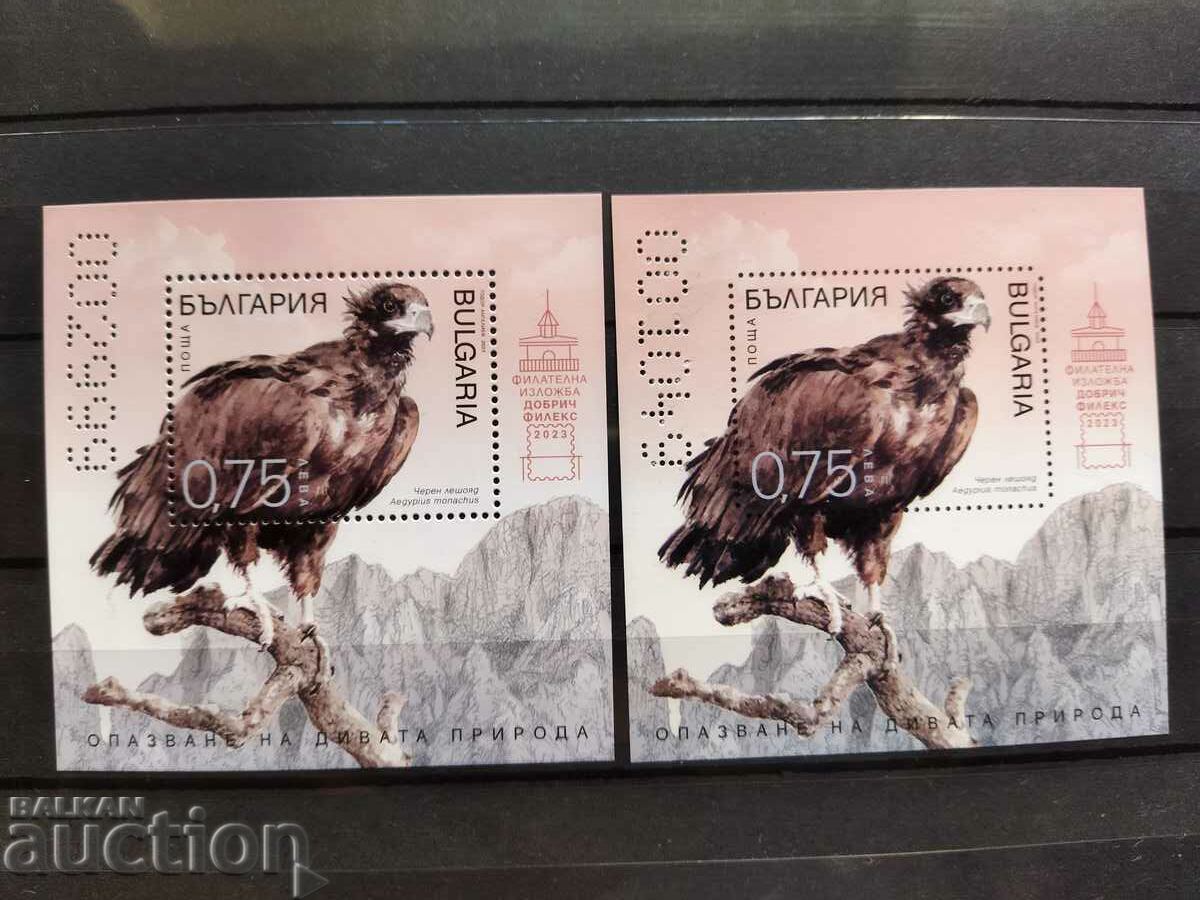 2023 Black Vulture Block Set #5627