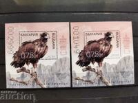 2023 Black Vulture Block Set #5627