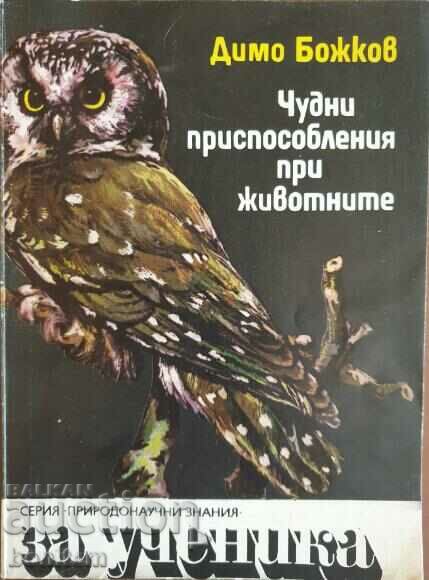 Wonderful adaptations of animals - Dimo Bozhkov