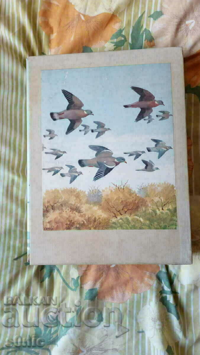 Migratori alati - Migranti cu aripi cu preț 30.00 BGN | € 15.34