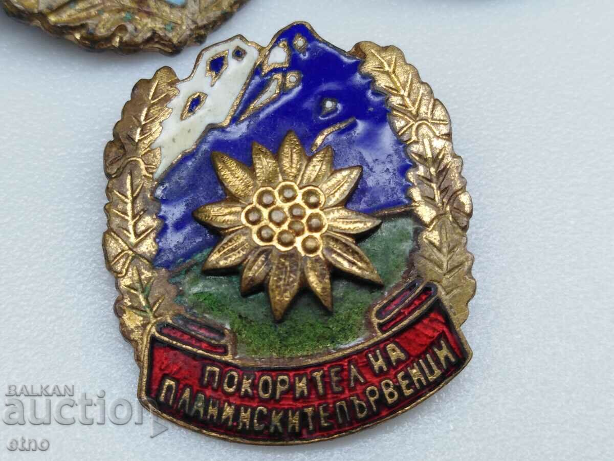 SOCIAL SIGNS, SIGN, BADGE, LEVSKI SOFIA - 6