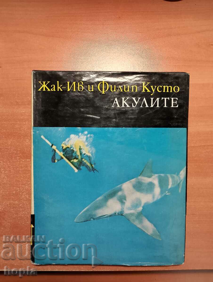 Жак-Ив и Филип Кусто АКУЛИТЕ