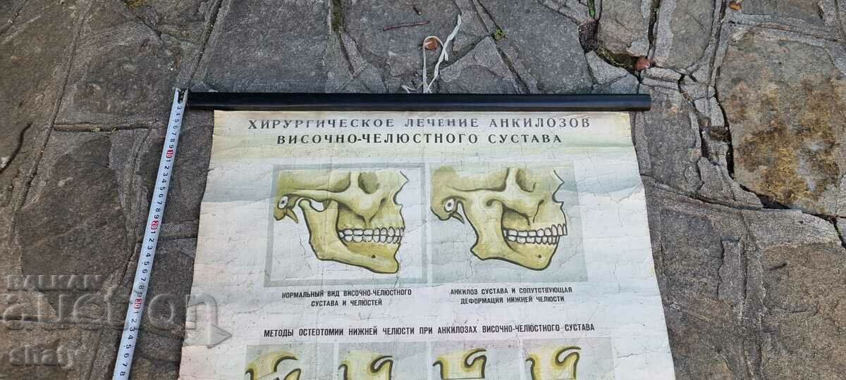 Старо медицинско табло с цена 60.00 лв. | € 30.68 Старо медицинско табло с цена 60.00 лв. | € 30.68