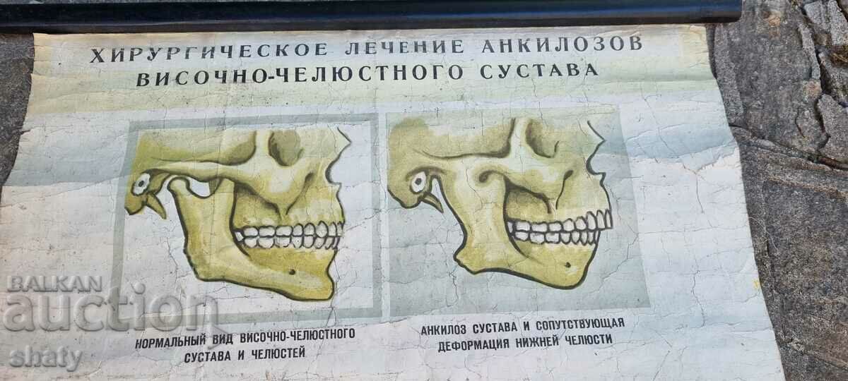Аукцион Старо медицинско табло Аукцион Старо медицинско табло