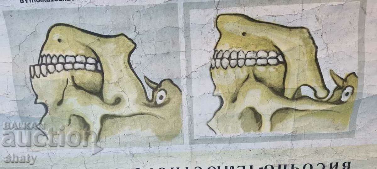 Старо медицинско табло - 7 Старо медицинско табло - 7