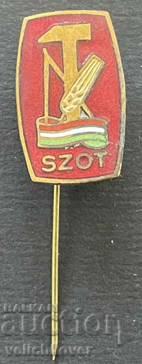 38912 Hungary Badge Hungarian Komsomol Enamel 1950s