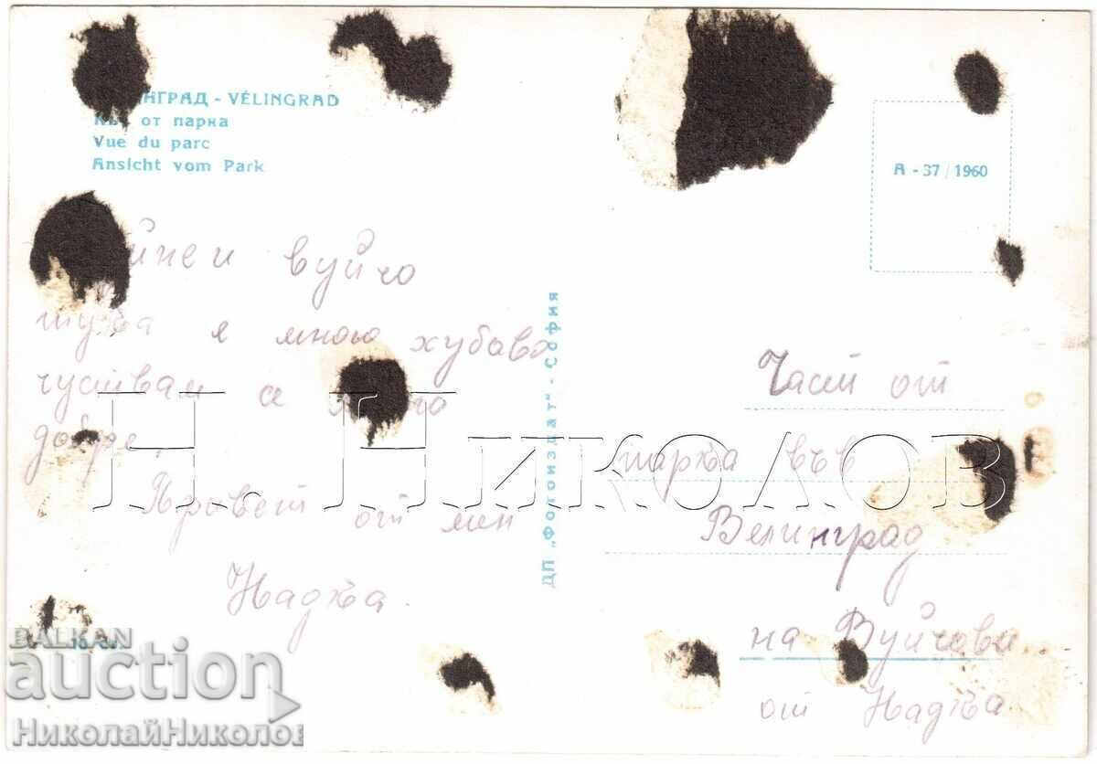 1960 ΠΑΛΙΑ ΚΑΡΤΑ VELINGRAD PARKA D162 με τιμή € 1.50 | 2.93 BGN