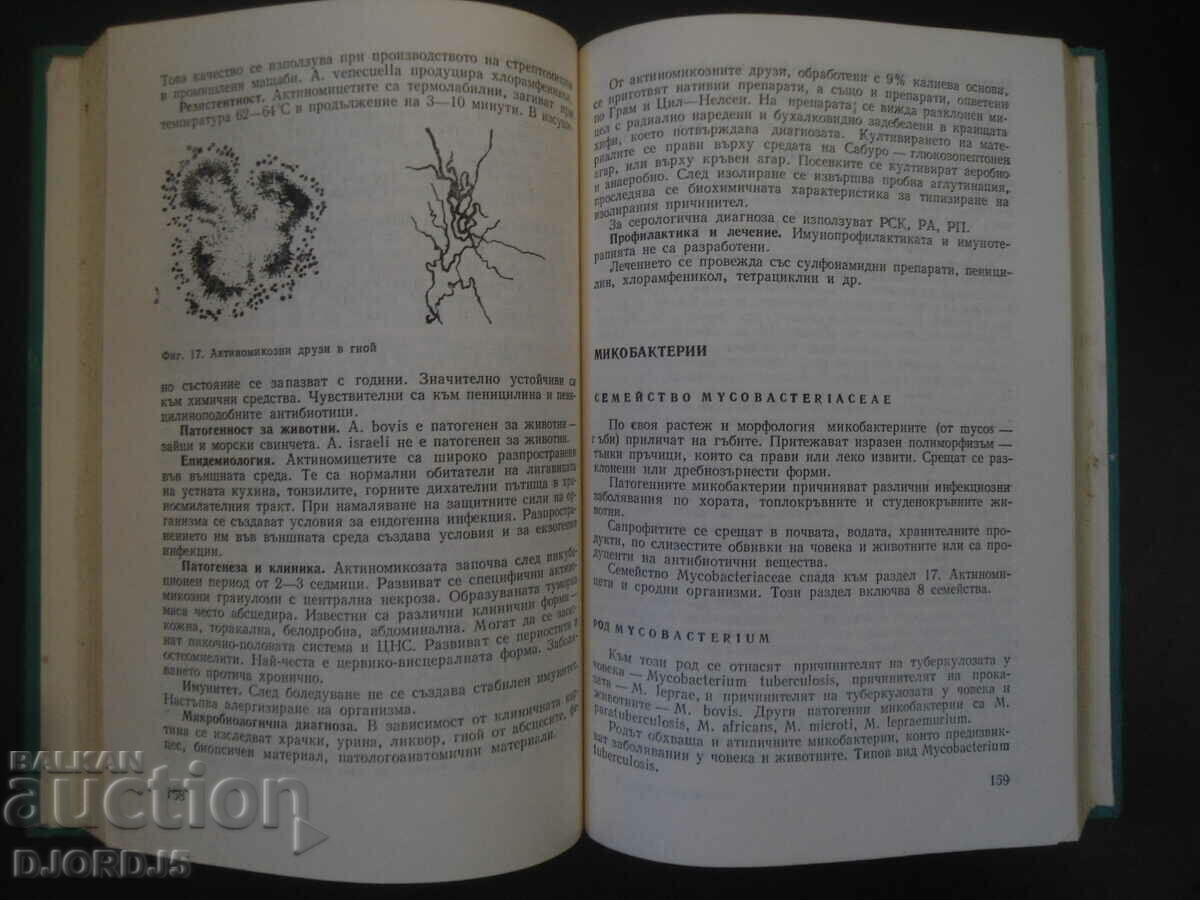 Auction MEDICAL MICROBIOLOGY Auction MEDICAL MICROBIOLOGY