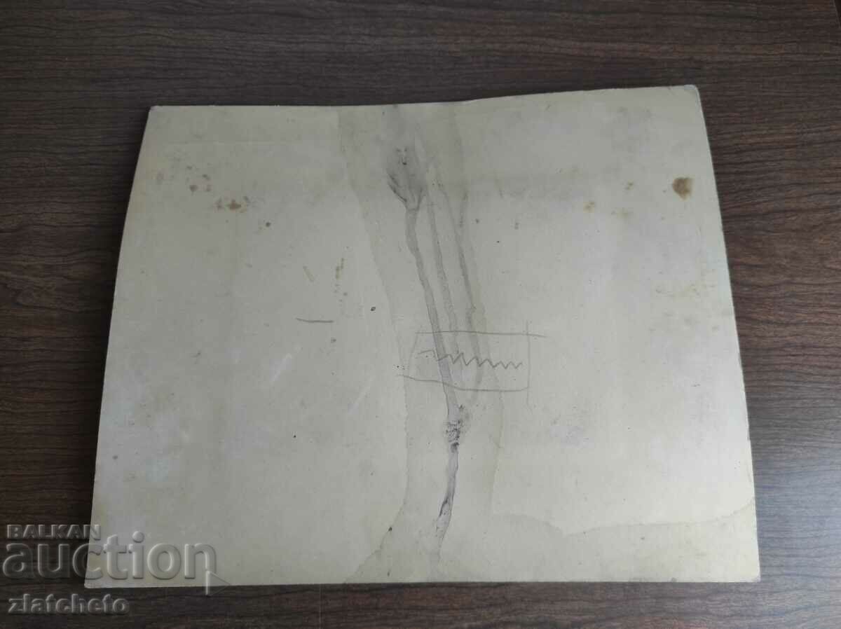 Auction Old photo cardboard Kingdom of Bulgaria - Auction Old photo cardboard Kingdom of Bulgaria -