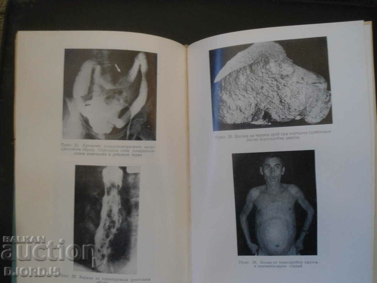 Auction INTERNAL DISEASES Auction INTERNAL DISEASES