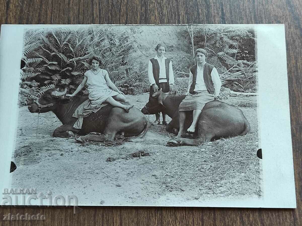 Old photo Kingdom of Bulgaria - with price 10.00 BGN | € 5.11 Old photo Kingdom of Bulgaria - with price 10.00 BGN | € 5.11